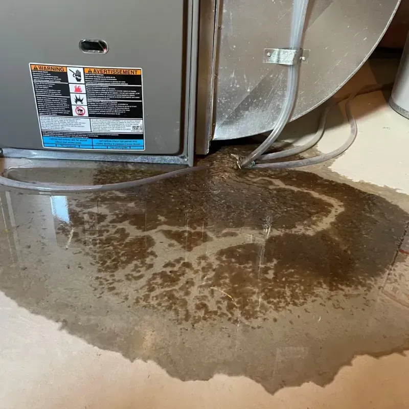 Appliance Leak Cleanup in Hubbard Lake, MI